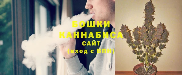 ПСИЛОЦИБИНОВЫЕ ГРИБЫ Лиски