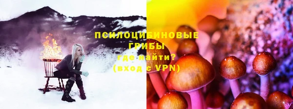 ПСИЛОЦИБИНОВЫЕ ГРИБЫ Лиски