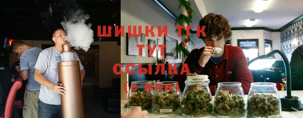 ПСИЛОЦИБИНОВЫЕ ГРИБЫ Лиски