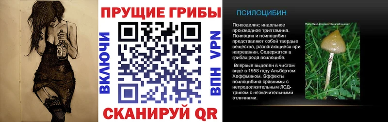 kraken ТОР  Ленинградская  Галлюциногенные грибы GOLDEN TEACHER 